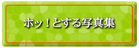 �z�b�Ƃ���ʐ^�W