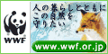 �v�v�e�i���E���R�ی����j